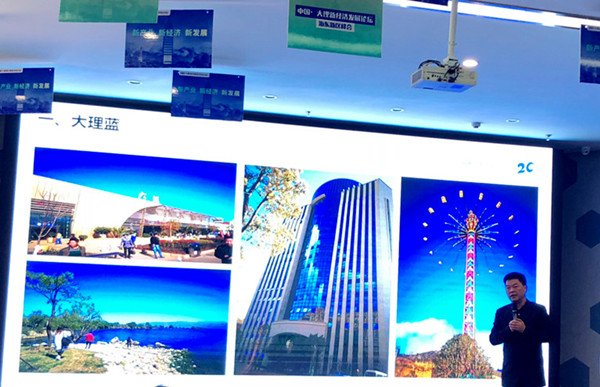 云南大理_2018大理gdp